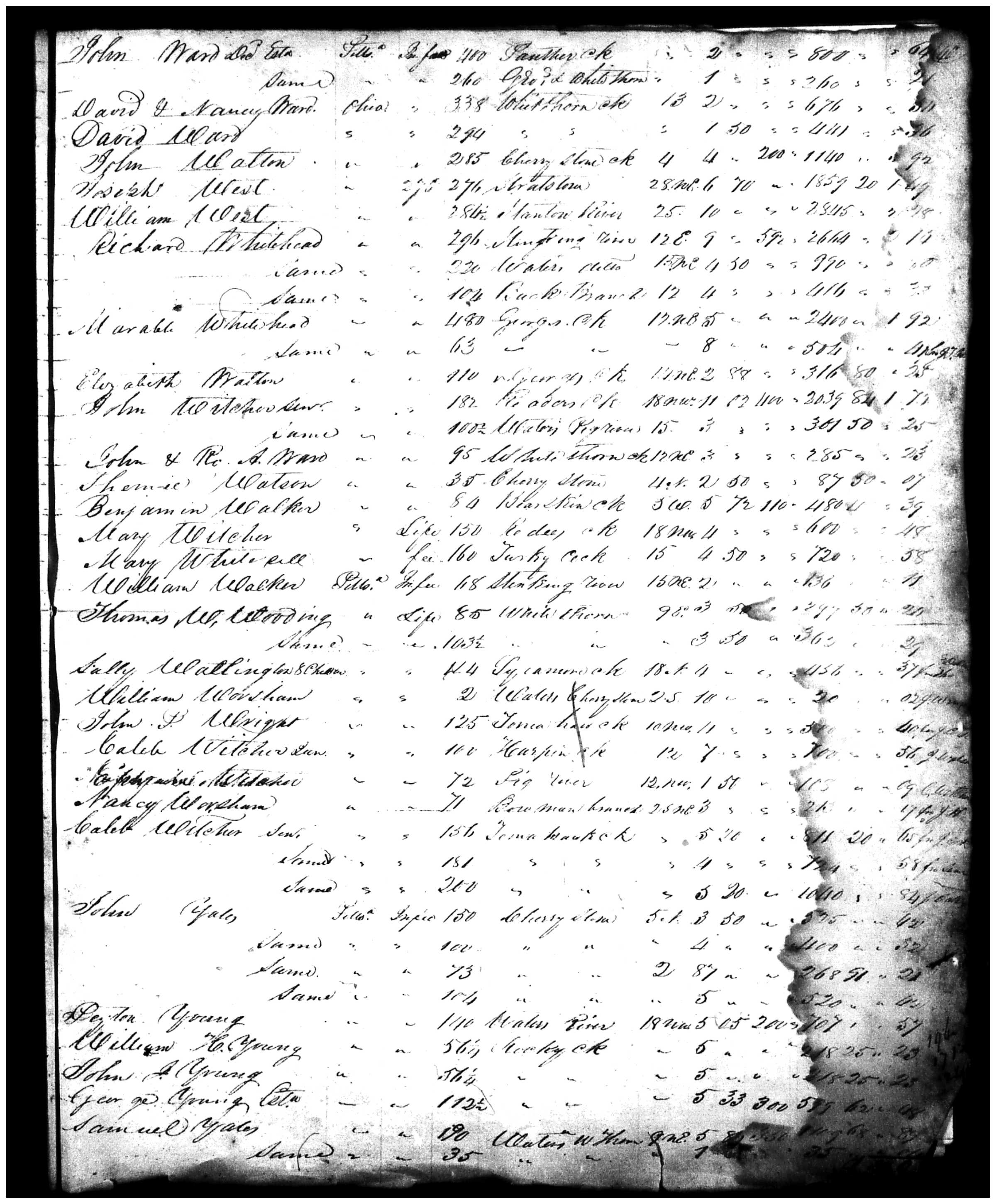 Document