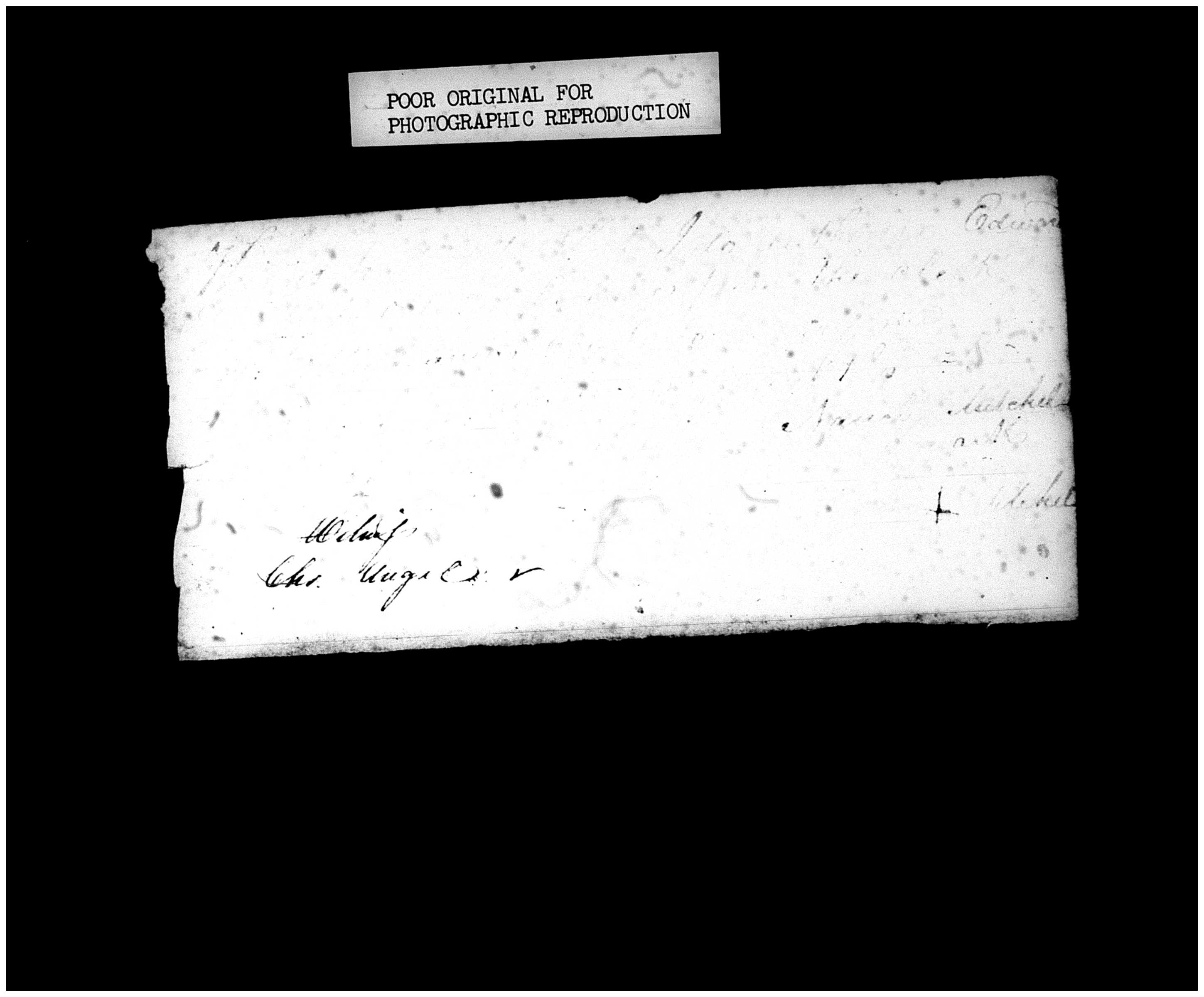 Document