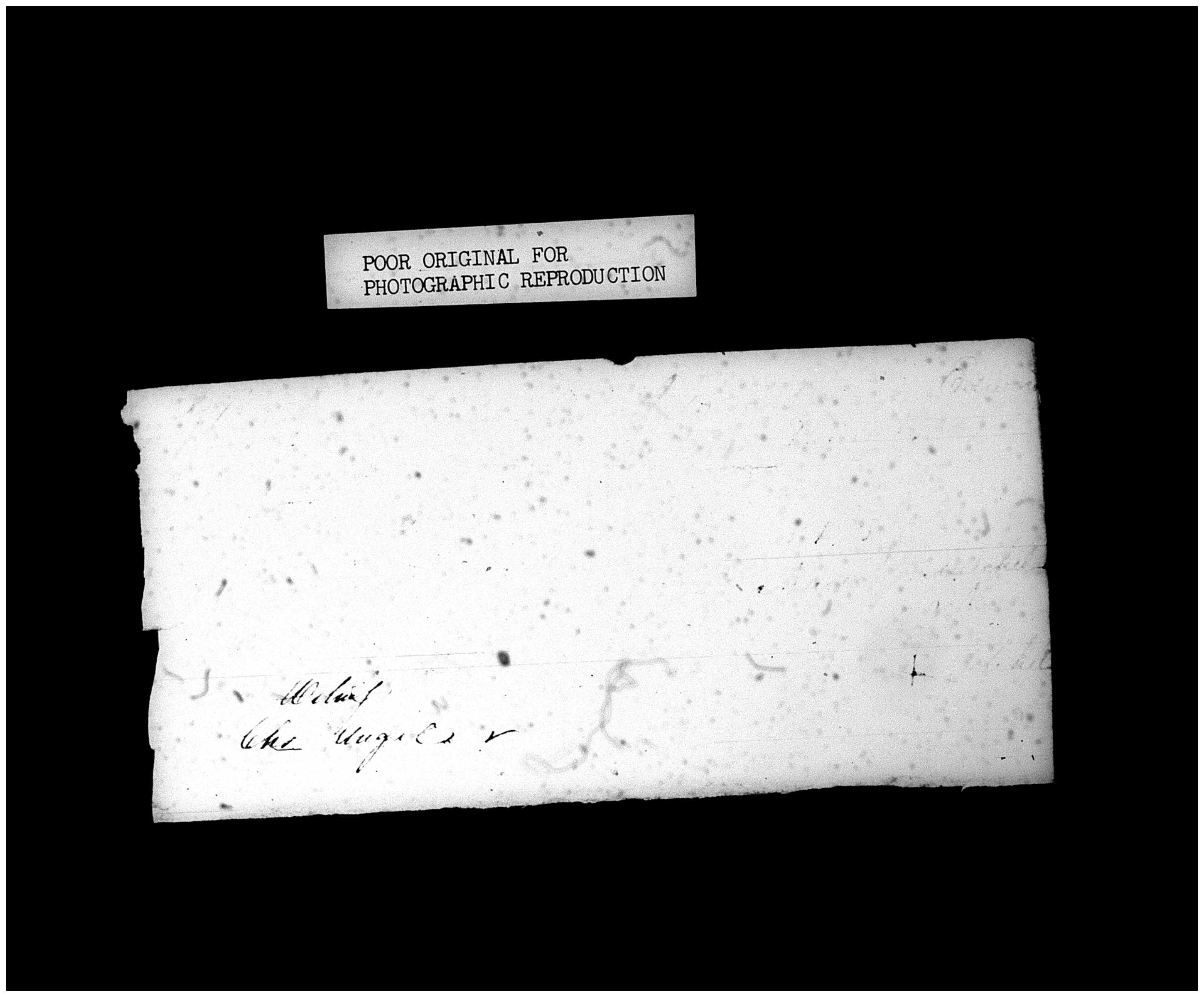 Document